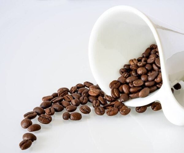 Les secrets de la sélection des grains de café